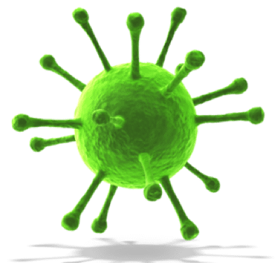 Germ Germ