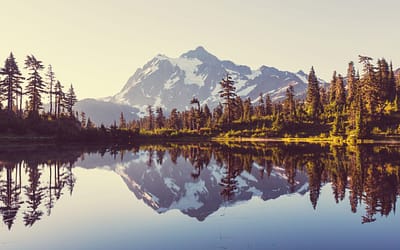 Panic Buttons Washington State