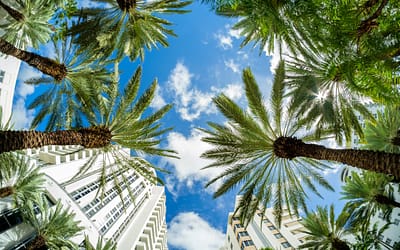 Panic Buttons Miami FL