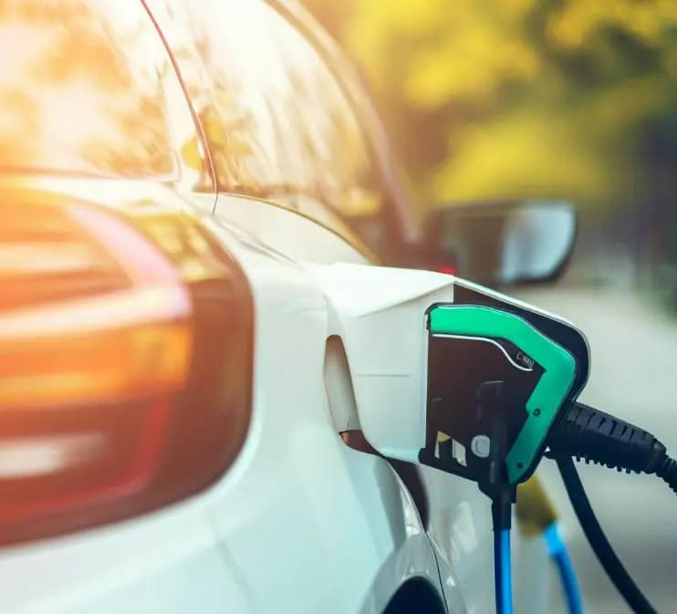 Receive Tax Credits and Rebates