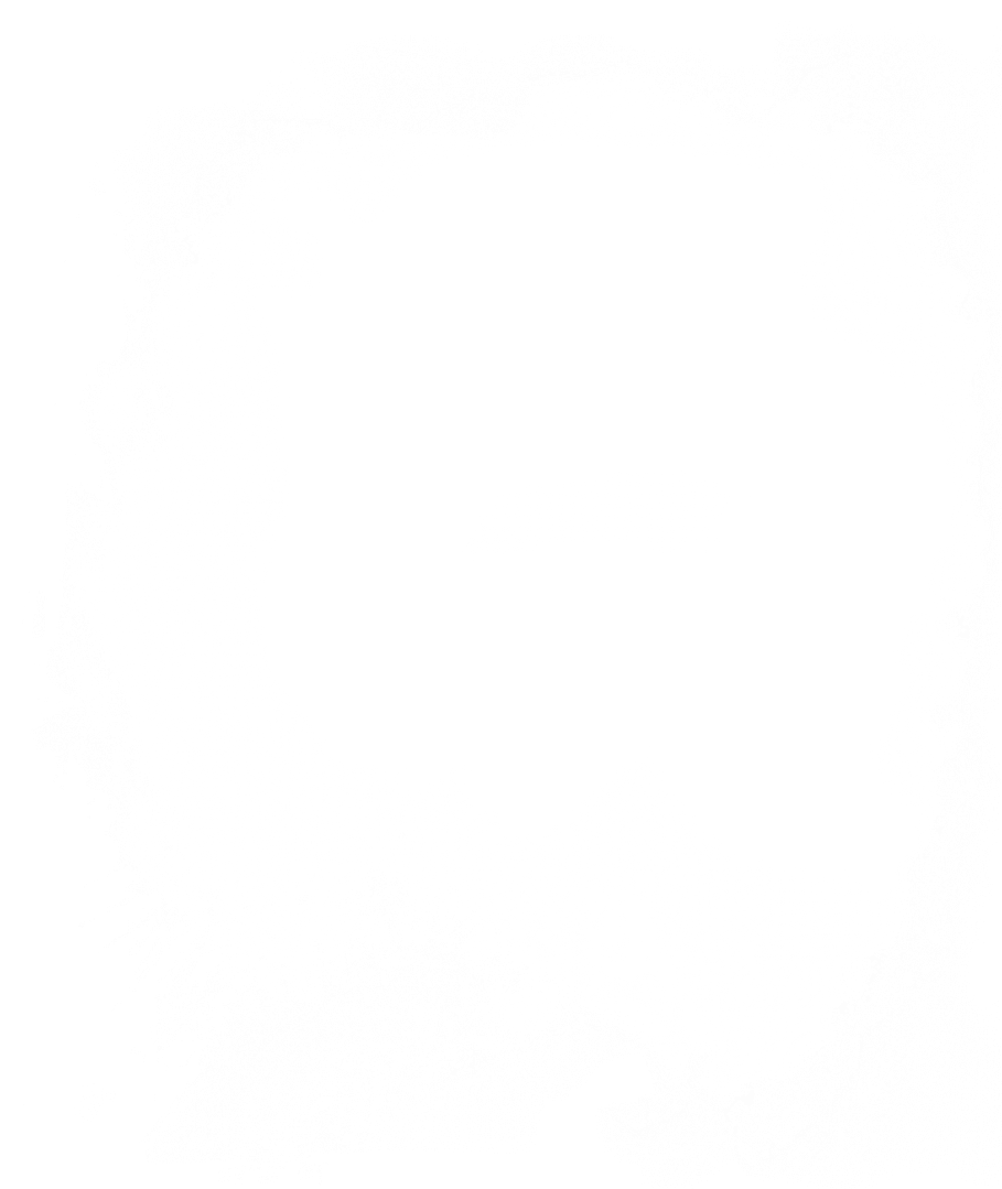 ownersadvocatejet ownersadvocatejet